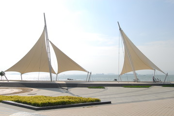 驾照的照片有什么要求吗