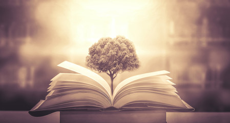 停了一晚上显示驻车制动故障