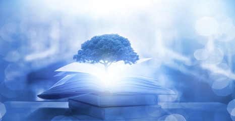 免维护的电瓶 平时应该怎么样保养