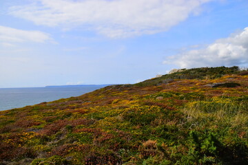 斯柯达这是放弃“尊严”了？