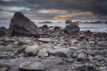 我要关于奥运的知识