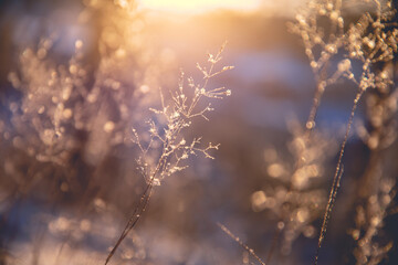 雷凌加装倒车雷达多少钱