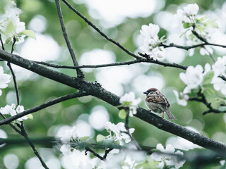水天一色形容的是什么