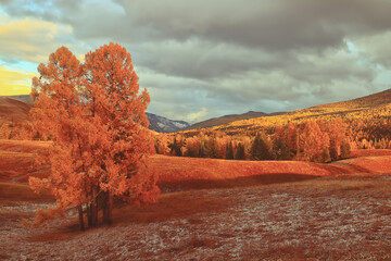 11年福特全顺2.8t柴油是国几排放