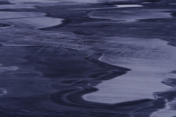 生物心脏手抄报内容