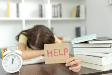 哪种蚂蚁最厉害