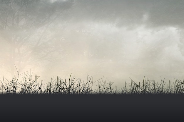 本田和大众哪个质量好一些