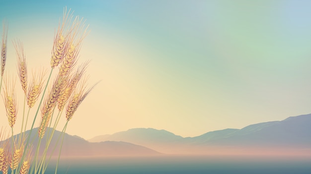 bose好还是燕飞利仕好