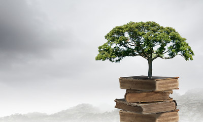 稀奇古怪的13种动物