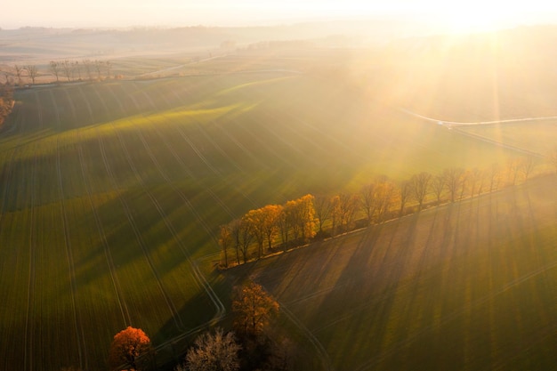 可以异地学车考驾照吗