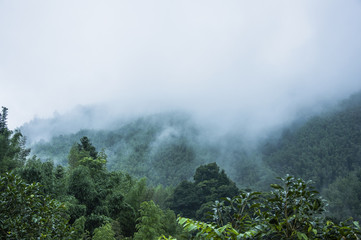 缤智可以弹射起步吗